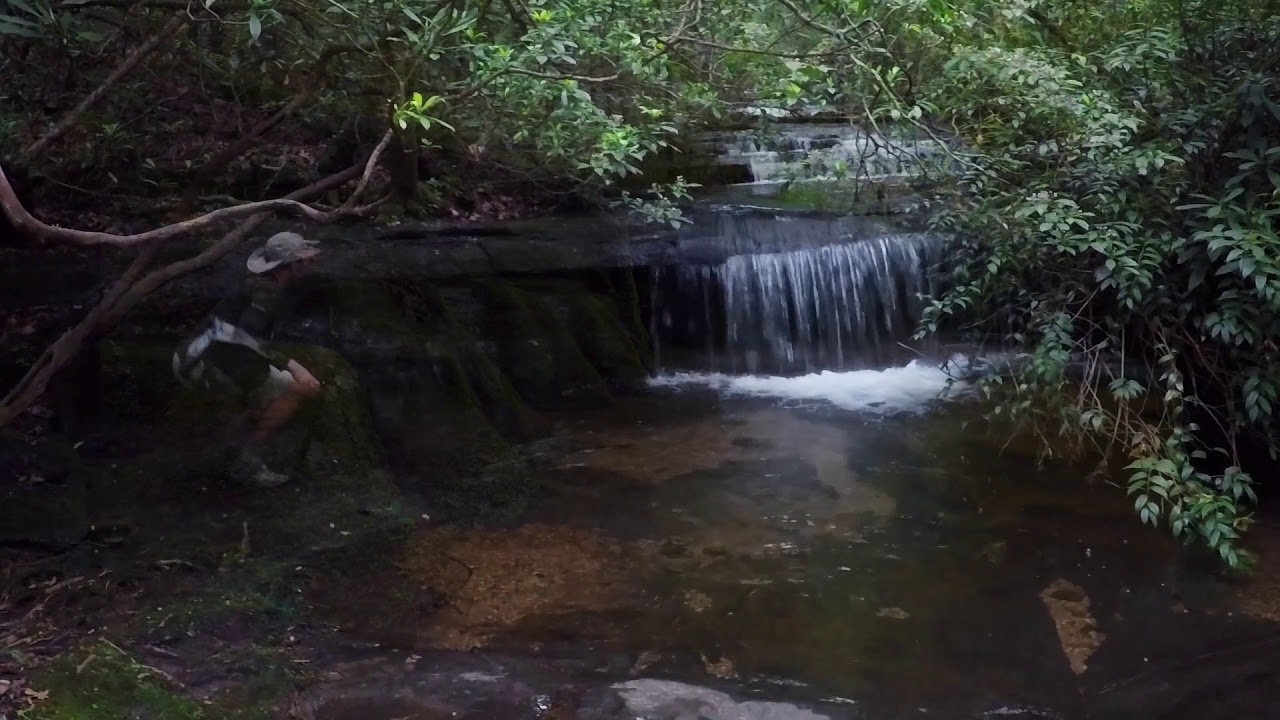 Discover Table Rock State Park