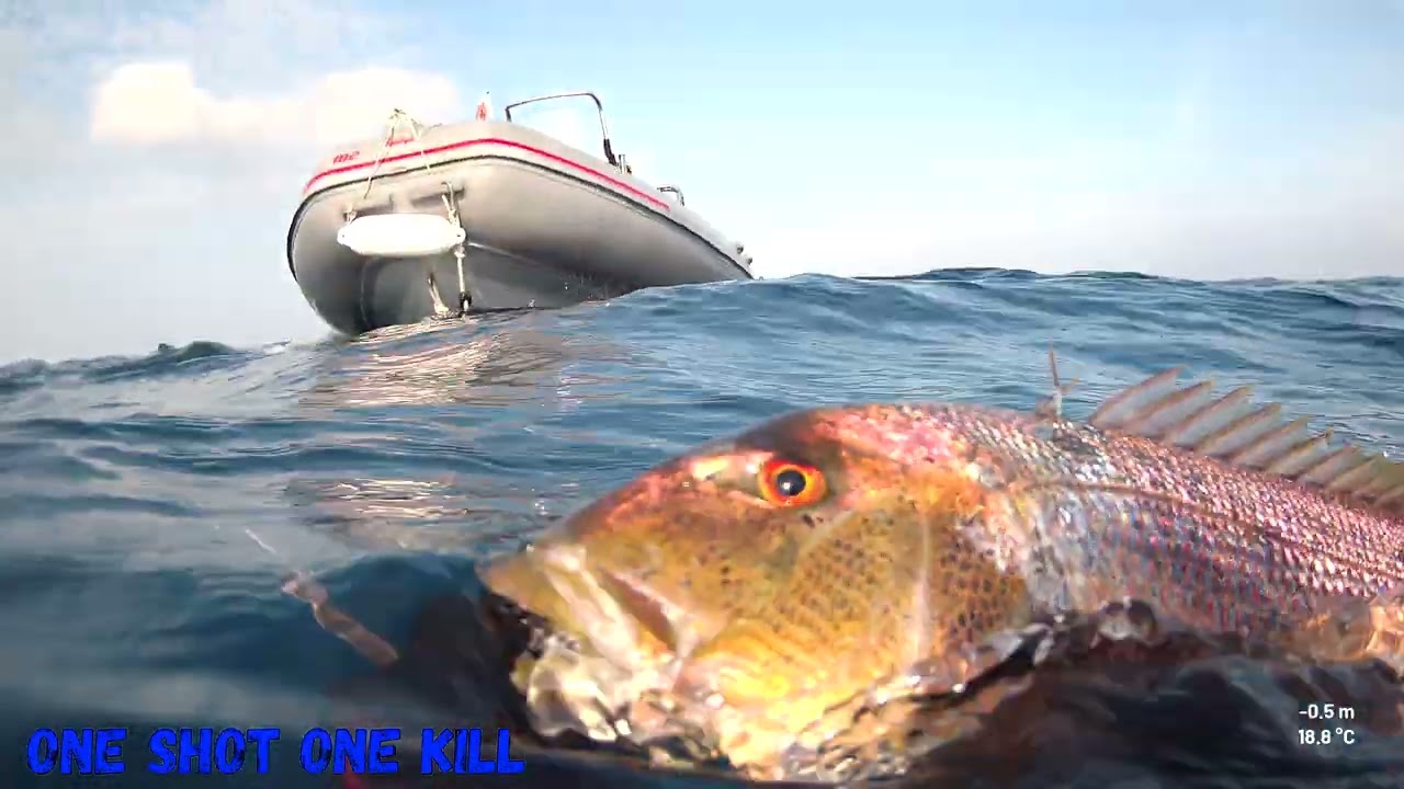 Segreti, sfide e incredibili catture del mondo sommerso