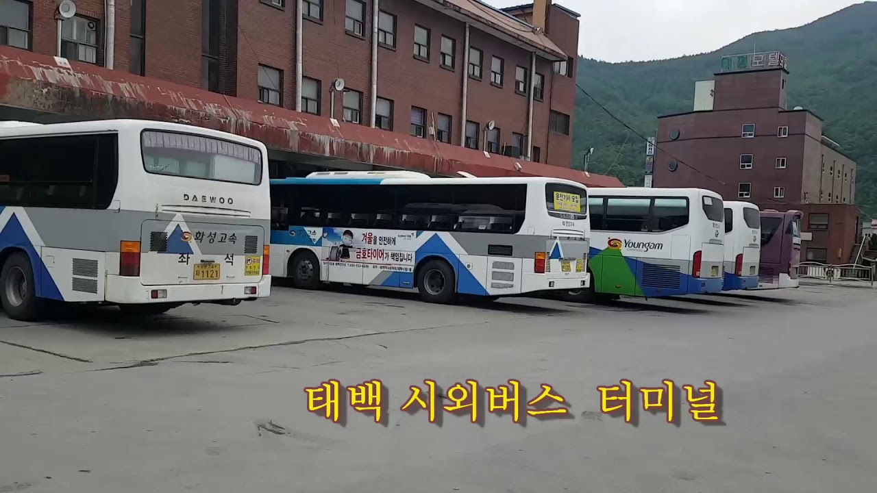 서울에서 가는 강원도 태백 여정길과 태백시내 영상리뷰