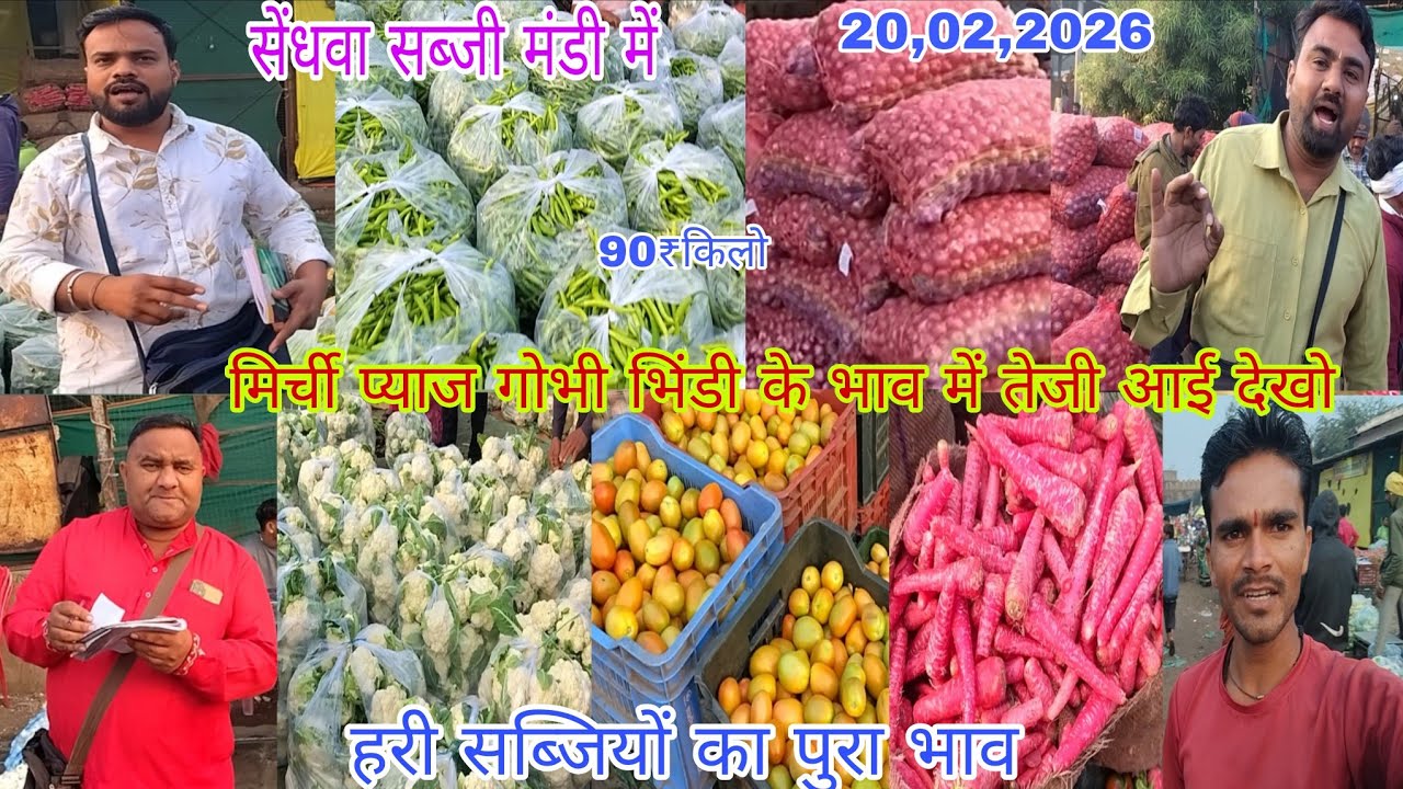 मिर्ची प्याज गोभी भिंडी के भाव में तेजी आई सेंधवा सब्जी मंडी में देखो 20,02,2026
