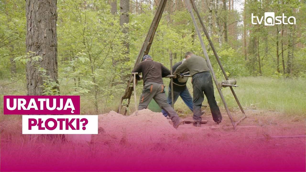 Czy popularne kąpielisko zniknie z mapy Piły?