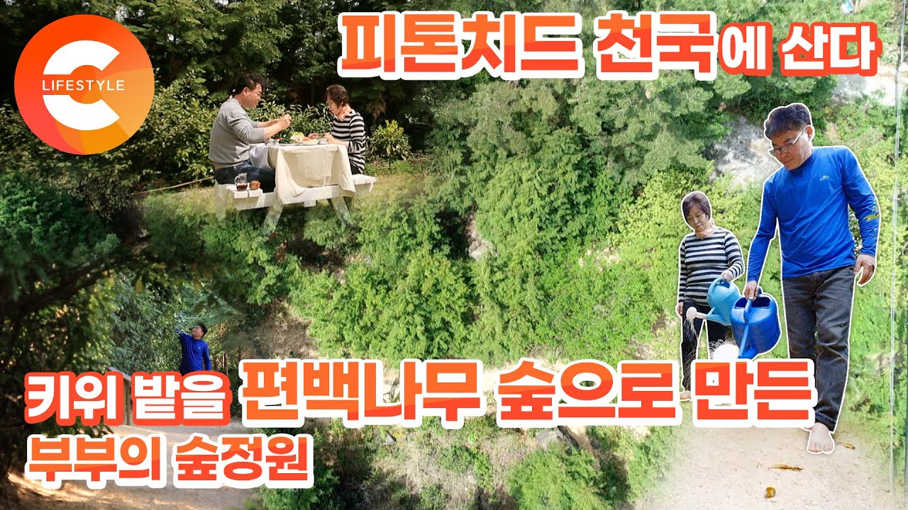 키위 밭을 편백 숲으로 만들고 인생이 달라졌다! 숲지기 부부의 피톤치드 라이프