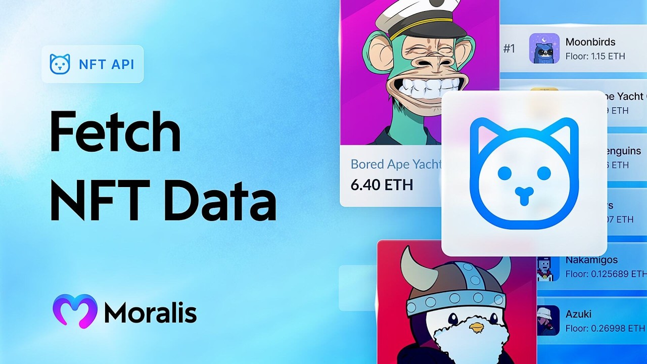 Fetch NFT Token Data Across Chains | Moralis NFT API