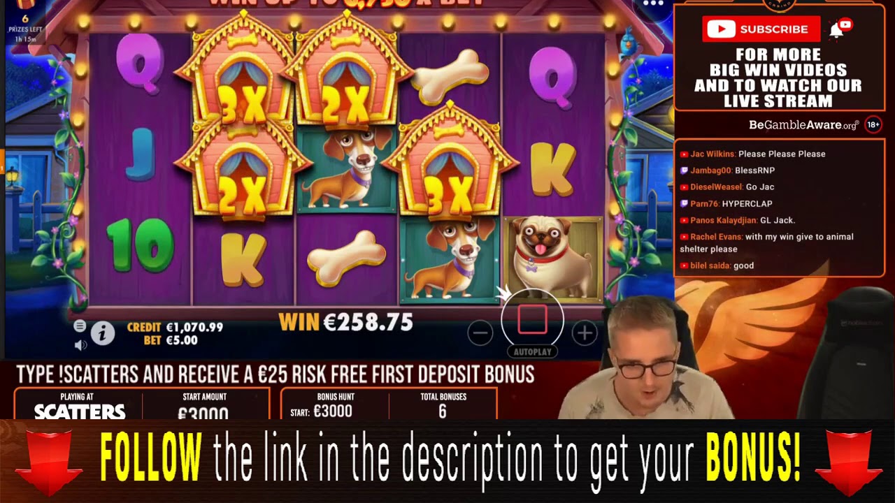 ONLINE CASINO CALZONE SLOT MACHINES Insane Win Steamtower Testament Dog House Calzone 2021 New