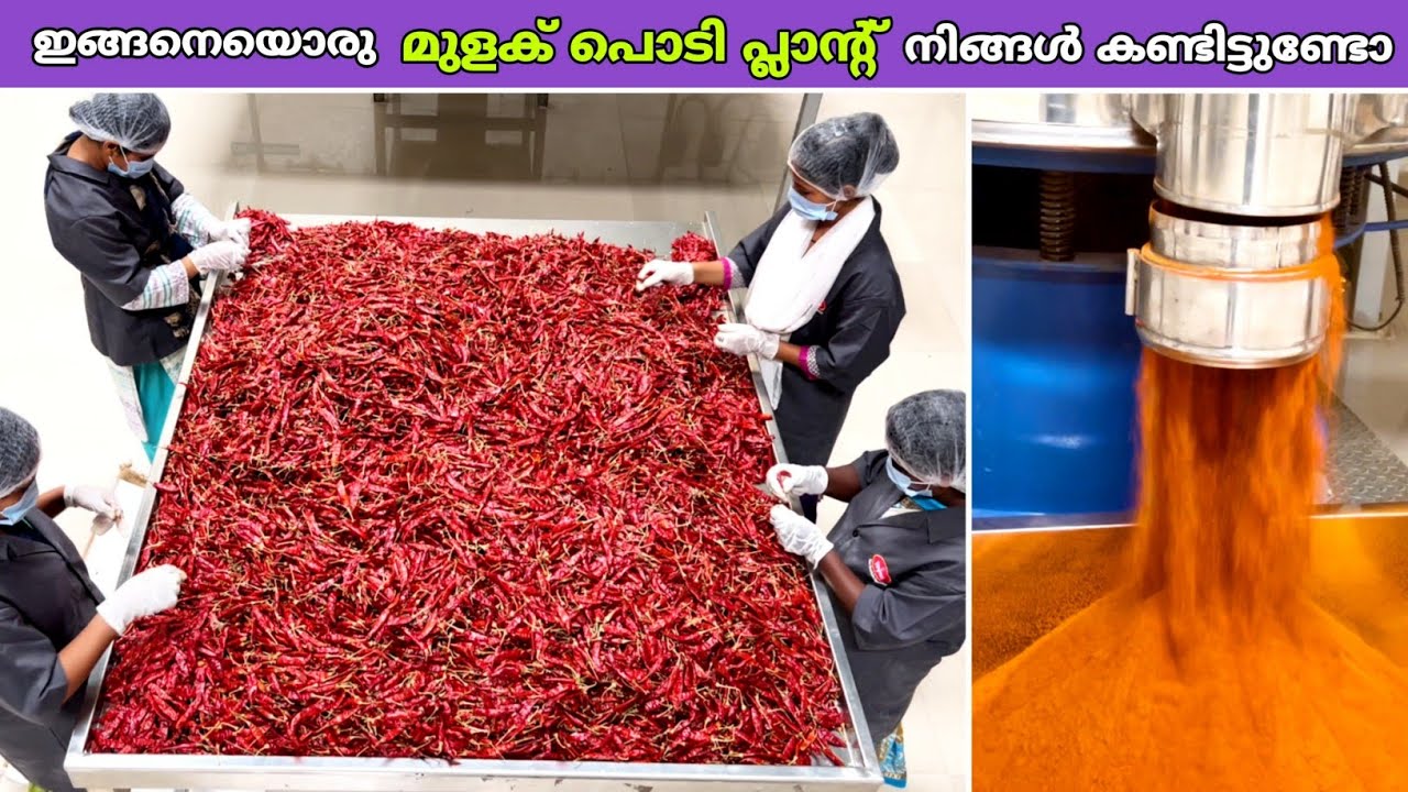 മുളക് പൊടി കമ്പനിയിൽ പോയപ്പോൾ കണ്ട കാഴ്ചകൾ😍 | chilli powder plant | fz rover | malayalam