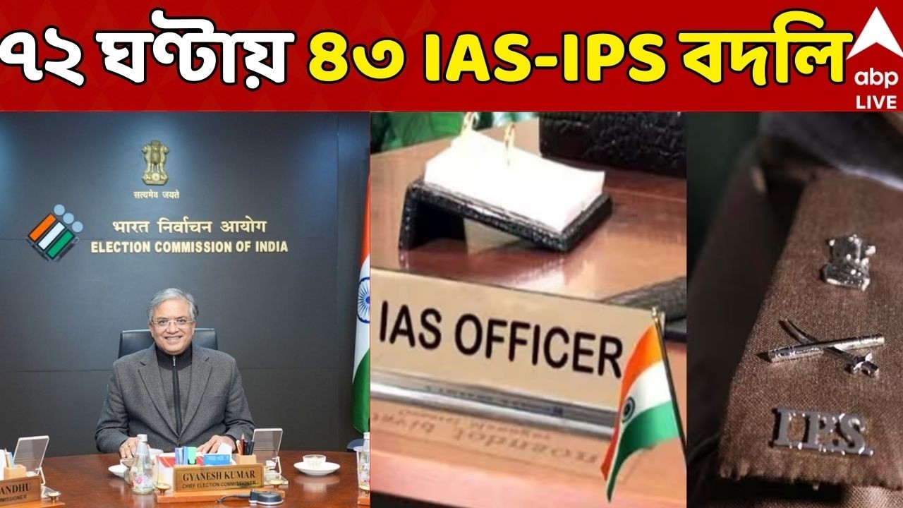 Mamata Banerjee LIVE | সব কটাকে দেখে নেব। কেউ ঘাসে মুখ দিয়ে চলি না : মমতা | ABP Ananda LIVE