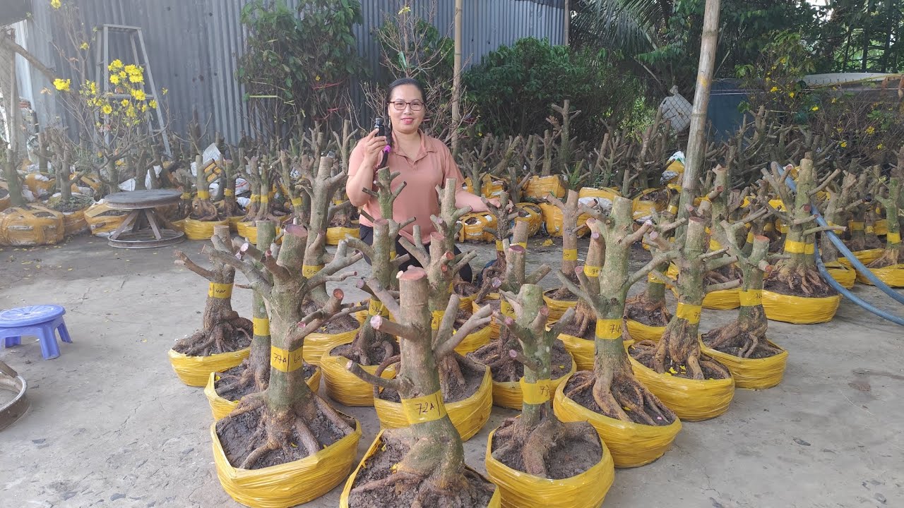 18/2 Dung 0383519488 Mai Phôi Gião Thủ Đức