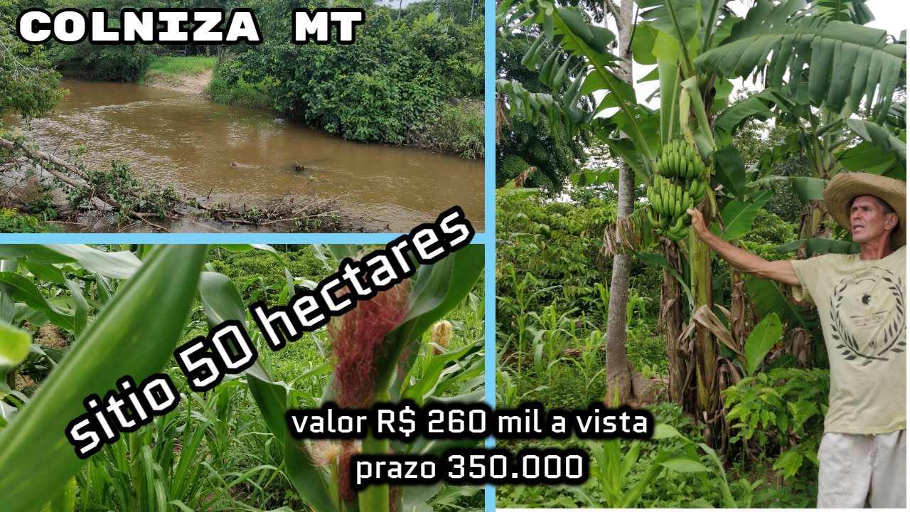 sitio do pimenta parte 2(  valor R$ 450.000)