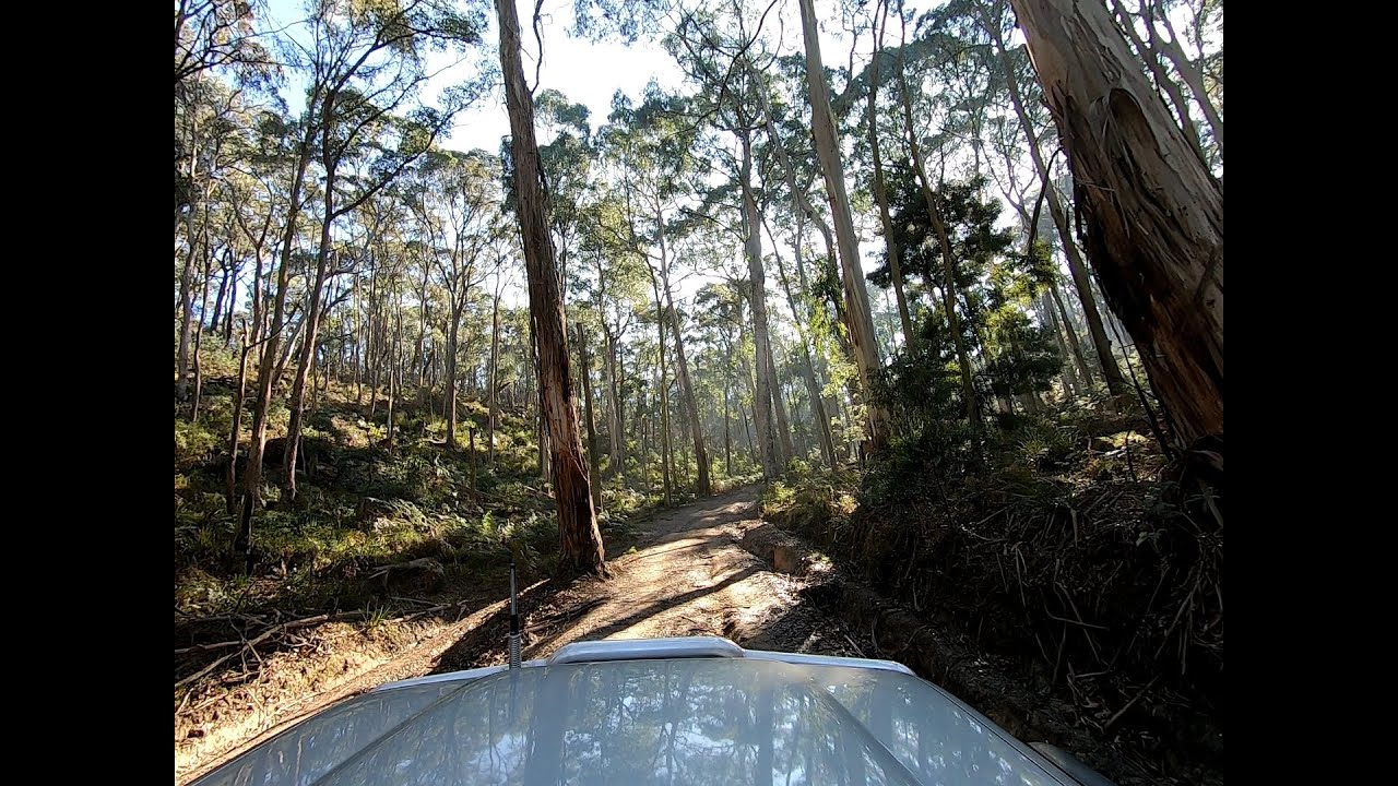 XL Track - Lerderderg State Park / Wombat State Forest