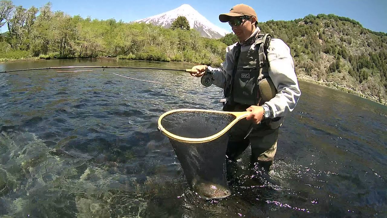 Pesca con Mosca secas en laguna