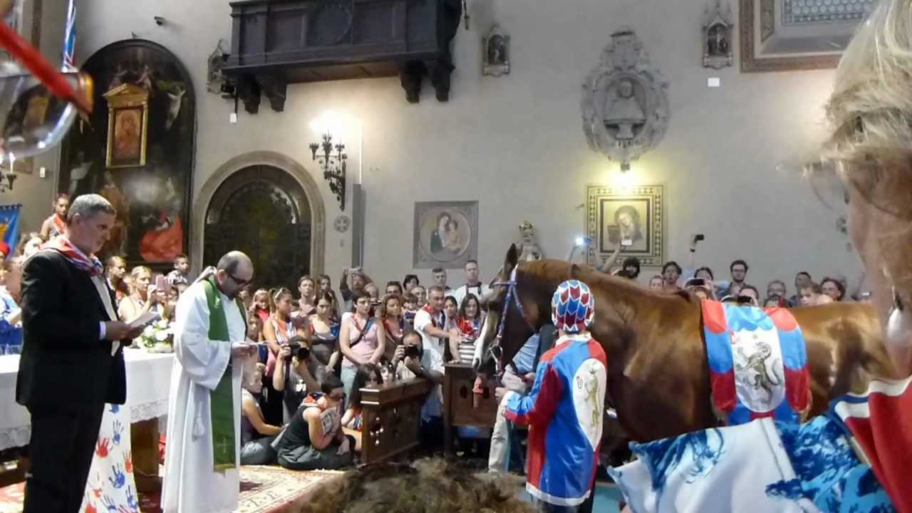 Siena Palio Agosto 2012 Pantera benedizione del cavallo