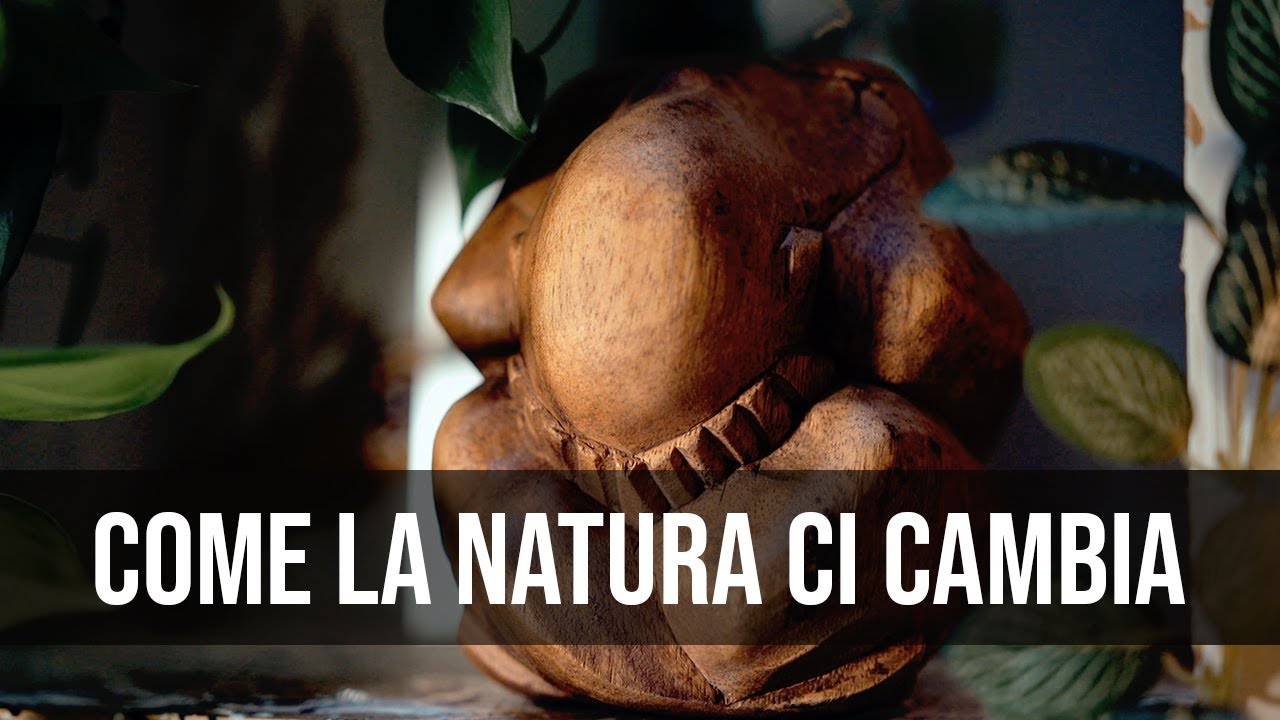 Cos'è la Biofilia - (Come la natura ci cambia)