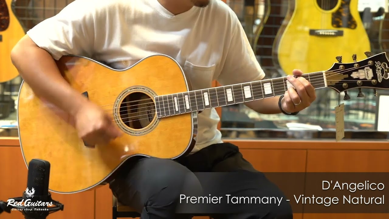 Red Guitars - D'Angelico / Premier Tammany-Vintage Natural