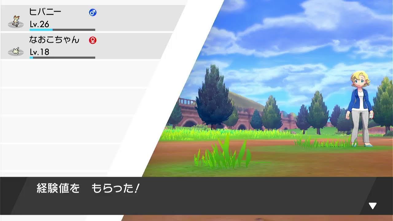 ヒバニー大好き 【ポケモン　シールド】