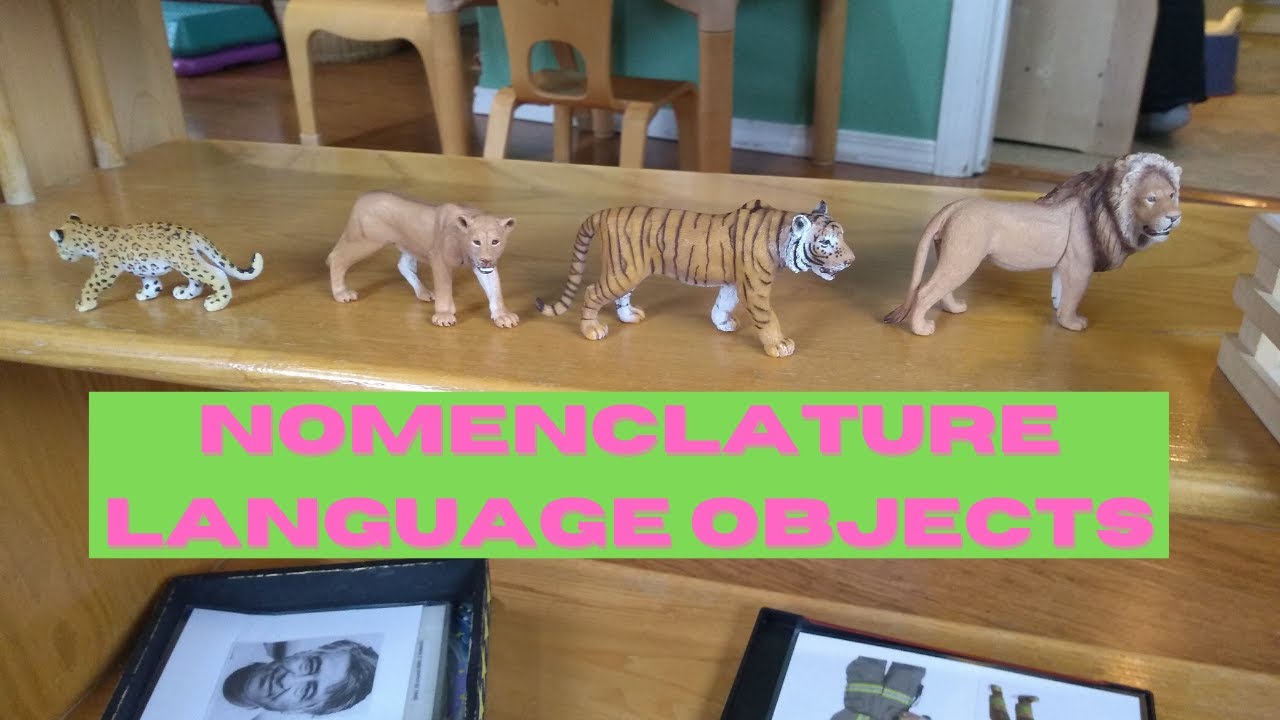 First Montessori Language Material|Nomenclature Objects (Figures) Presentation For toddler.