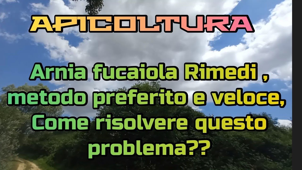 Apicoltura arnia fucaiola la soluzione migliore è tante valutazioni