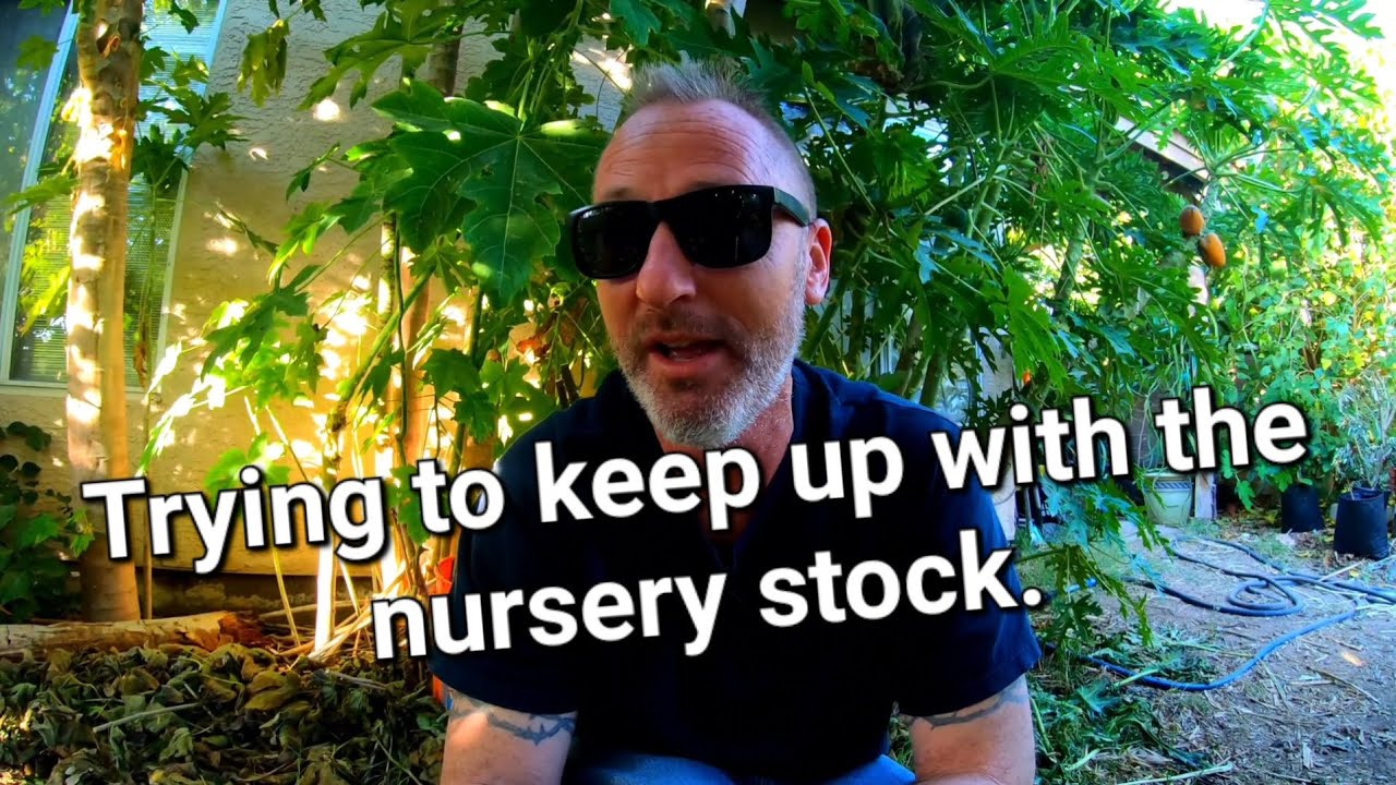 Life is tough when you're starting a new plant nursery!