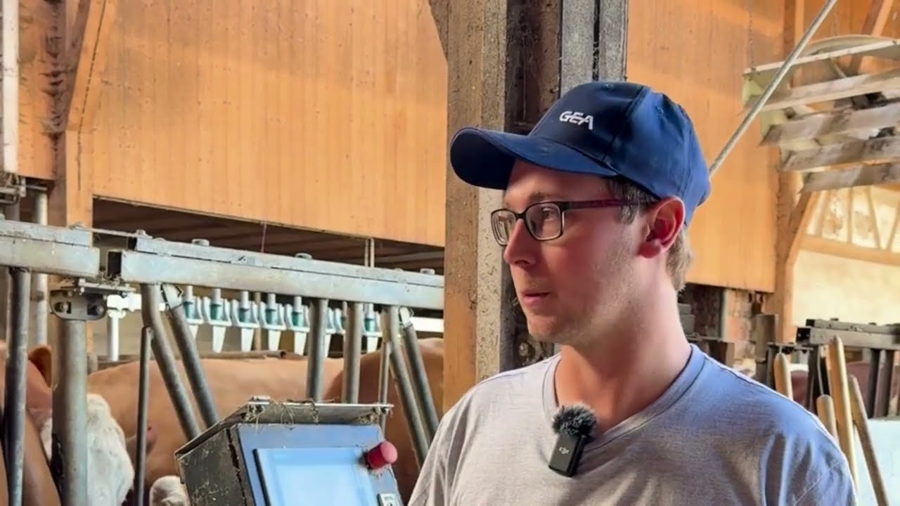 GEA Melkroboter im Praxiseinsatz | Erfahrungsbericht von Felix Madlener in Bad Waldsee 🐄