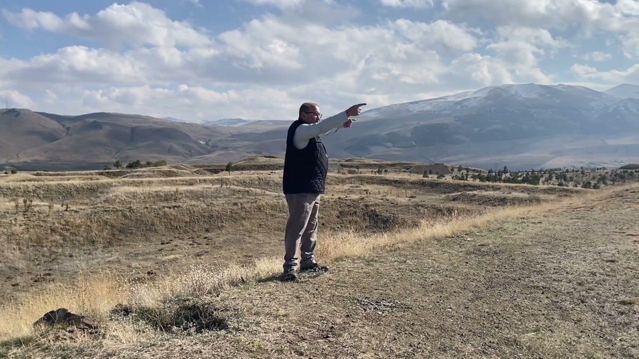 Erzurum Muharebesi (1877)