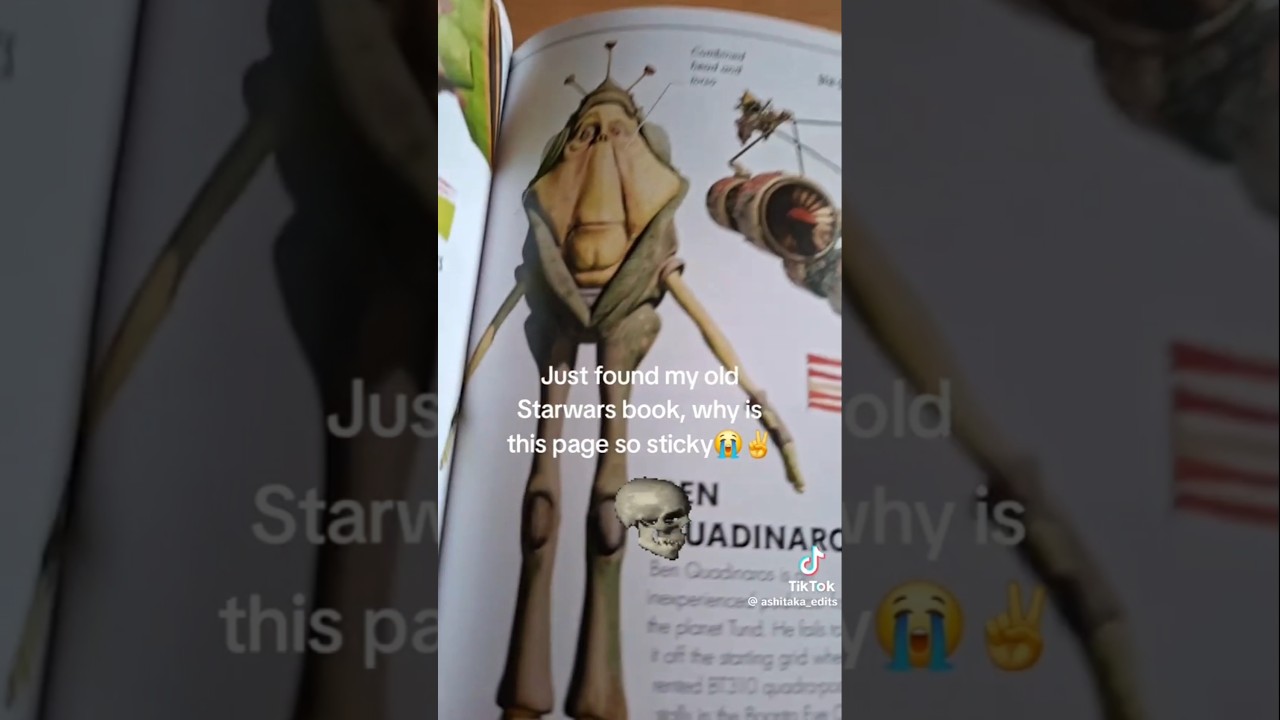 Memes From The Discord Dumpster