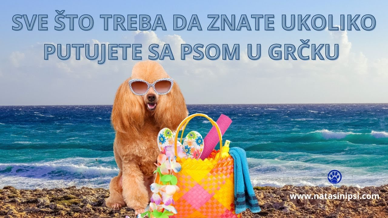 SVE &Scaron;TO TREBA DA ZNATE UKOLIKO PUTUJETE SA PSOM U GRČKU &ndash;LETOVANJE SA PSOM U GRČKOJ