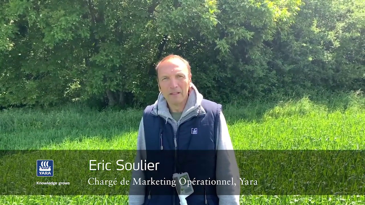 Le pilotage de l'azote dernier apport par Eric Soulier, Yara® France #RendezvousTerrain