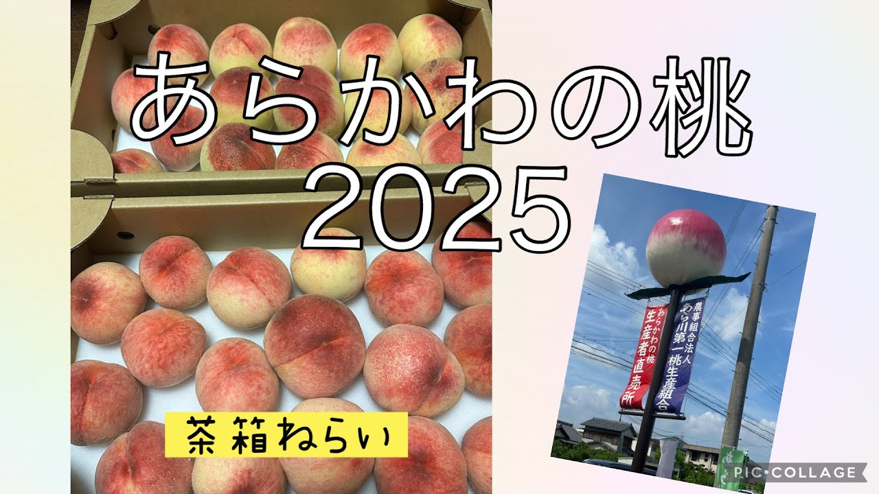あらかわの桃2025