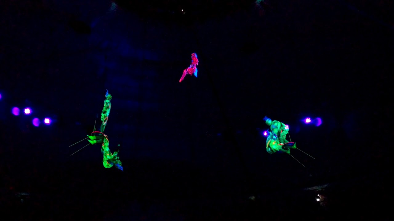 Flight 