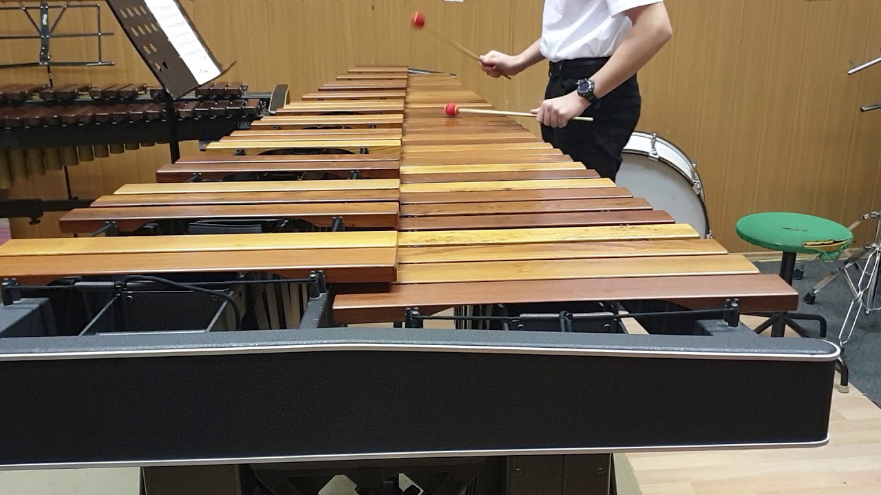 Leonida Torrebruno  - Studio 8