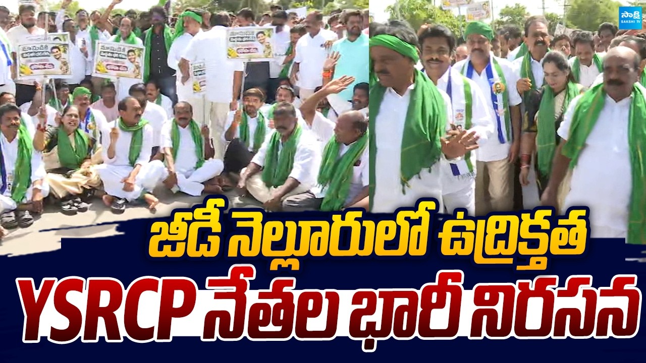 YSRCP Leaders Massive Protest At Jeedi Nellore | Mango Prices Crash |@SakshiTVLIVE