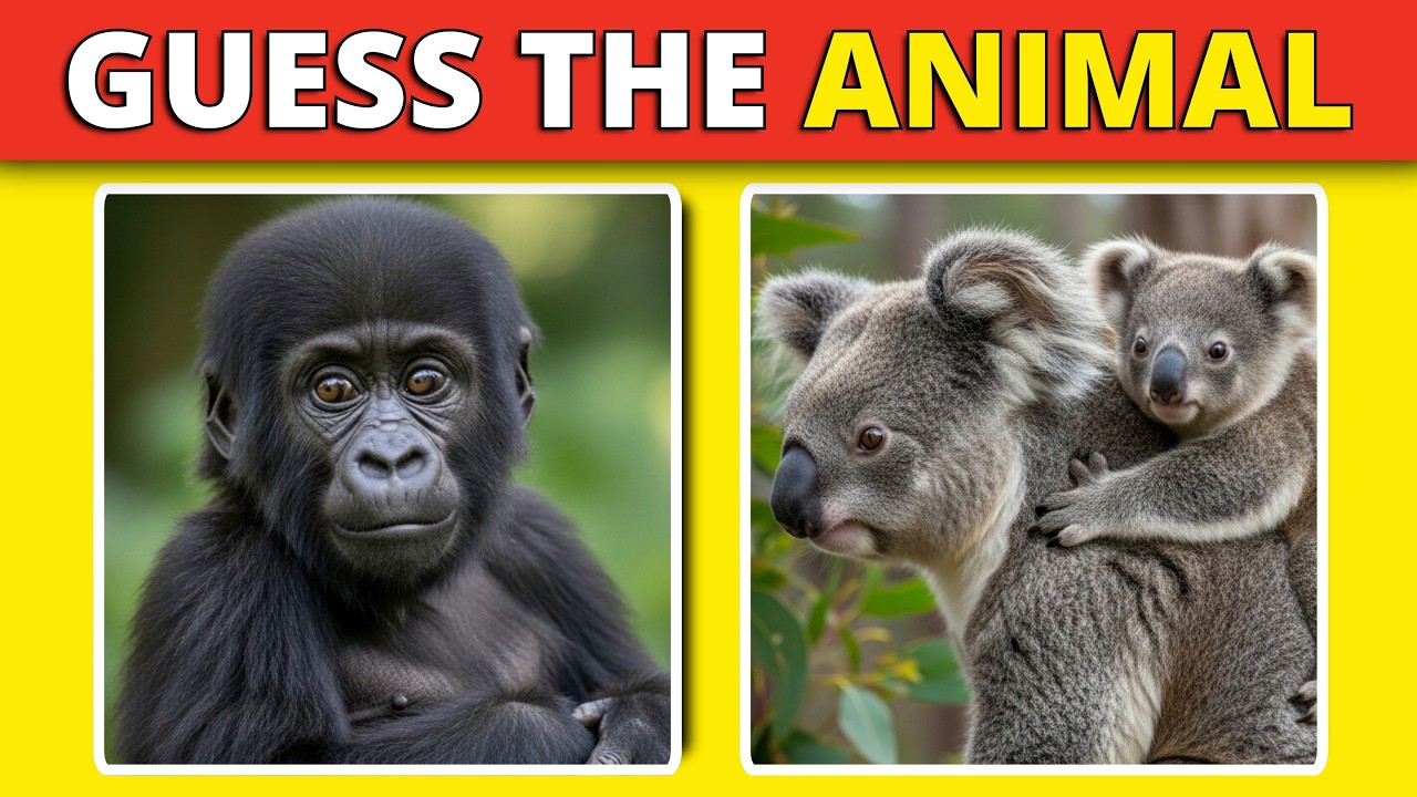 Guess the Animal | World’s Cutest Baby Animals?