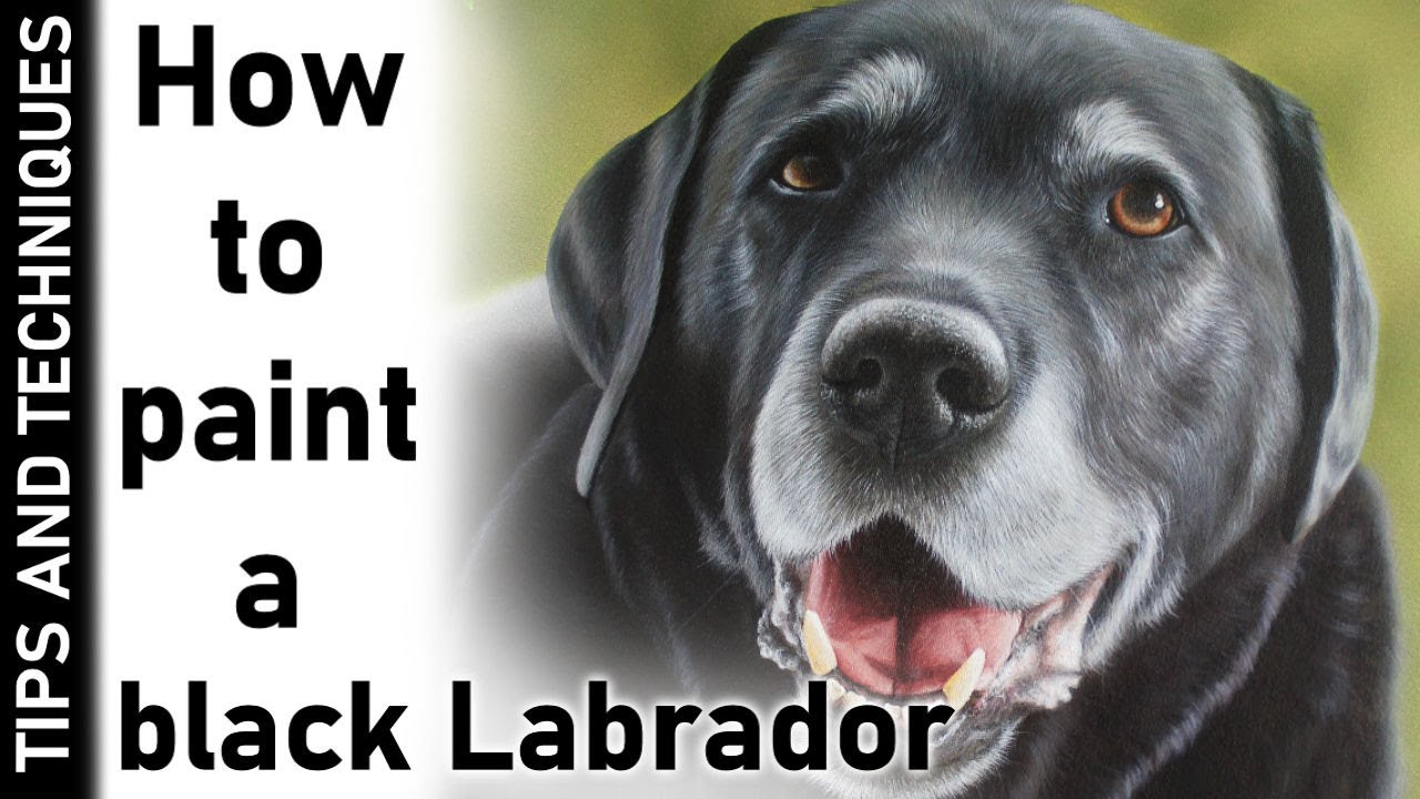 BLACK LABRADOR PAINTING IN ACRYLICS | PAINTING BLACK FUR & ACRYLIC TIPS