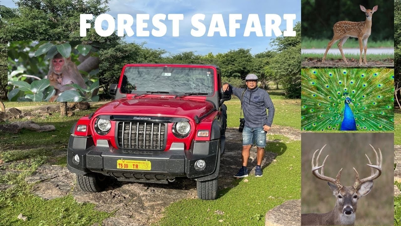 Forest Safari [Pocharam Dam & Wildlife Sanctuary || Long Drive || 4x4 Thar || Nature Camping || 4K]