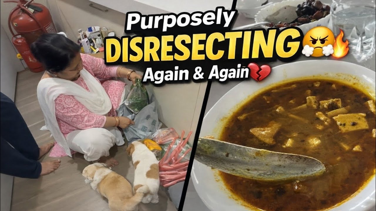 Purposely disrespecting🤦🏻‍♀️Sambhavna Seth|New vlog|Audio Reaction Podcast|Comments|#pratibha #ajju 