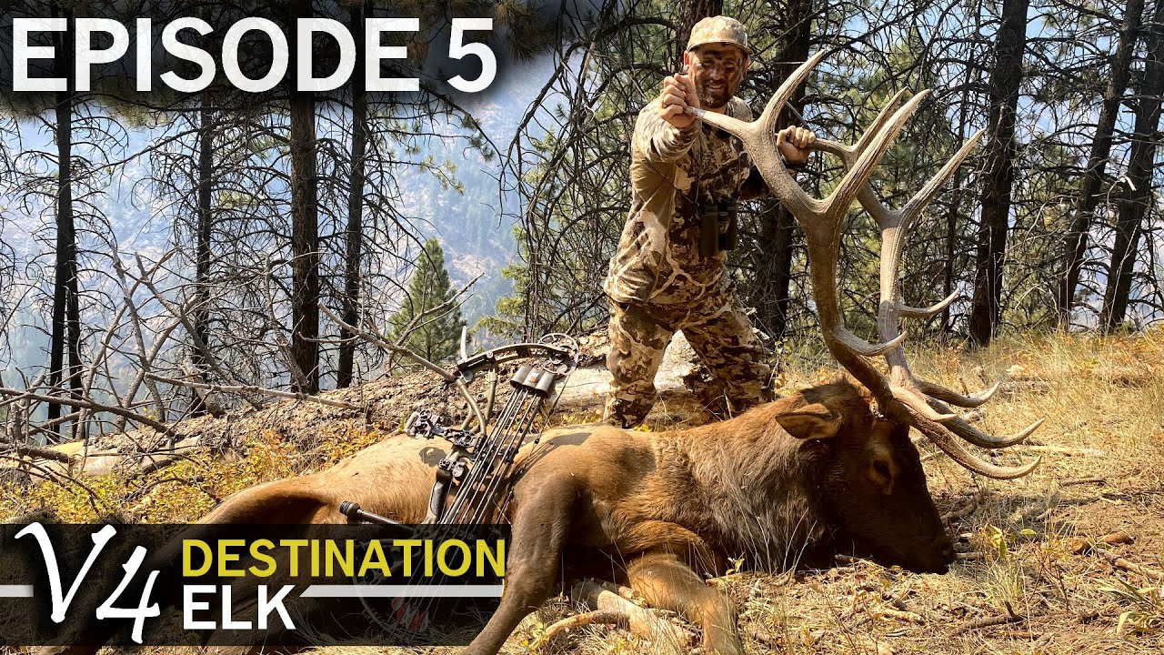 Giant Idaho Backcountry Bull: EPISODE 5 (Destination Elk V4)