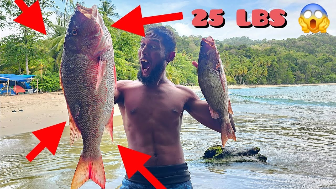Camping is life | Catch | Clean | Cook spearfishing trinidad - Paria Bay