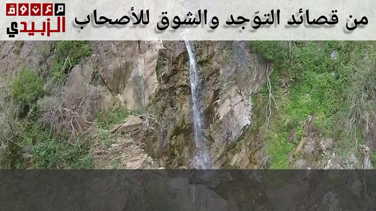ماذا قال معتوق الزبيدي في العشرين رجل الذين ماتوا من ابناء اعمامه ؟ بصوت ابنه سعيد