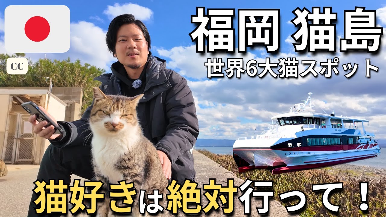МИЛОТА КОШАЧЬЯ ПЕРЕГРУЗКА!🐈 Исследуем Аиносиму, знаменитый японский Кошачий остров 🇯🇵