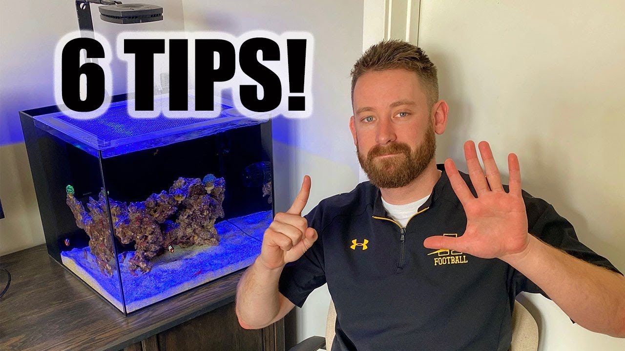 Советы начинающим рифоводам | Нано-рифовые аквариумы с морской водой