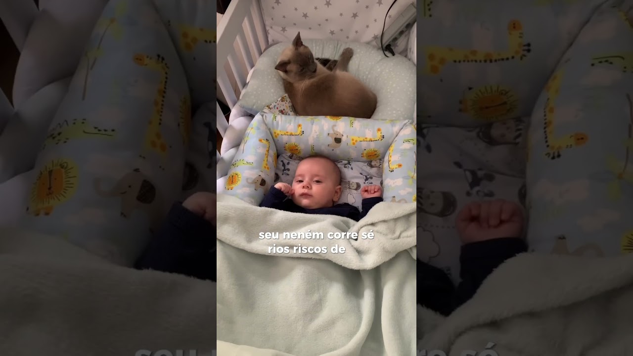 tem uma crian&ccedil;a crescendo saud&aacute;vel e feliz 🩵 #gato #bebe #filhos