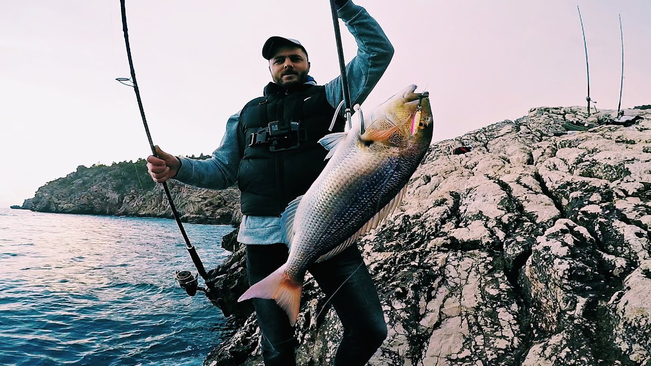 Zubatac | Shore jigging mythical Dentex