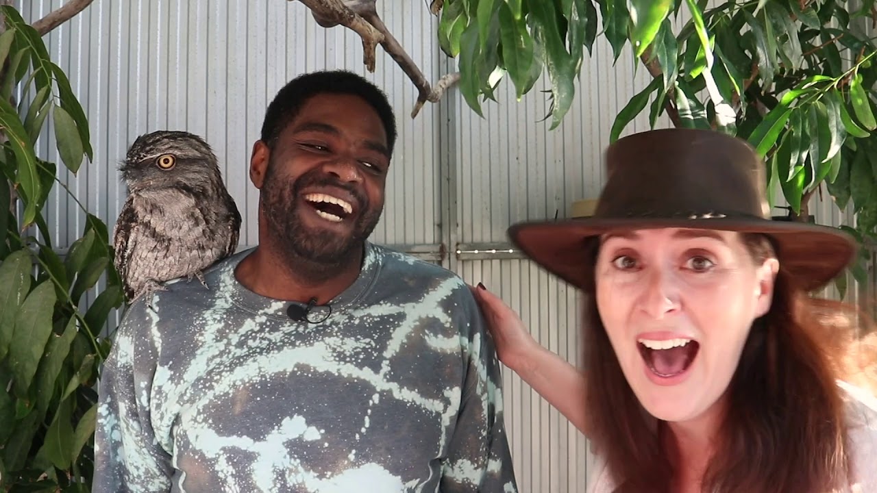 Celebrities Patting Animal. Season 1. Episode 5 - Ron Funches