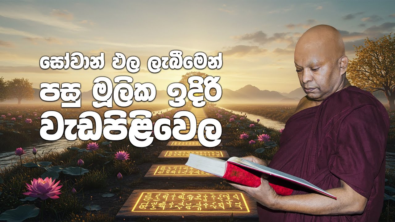 සෝවාන් ඵල ලැබීමෙන් පසු මූලික ඉදිරි වැඩපිළිවෙල