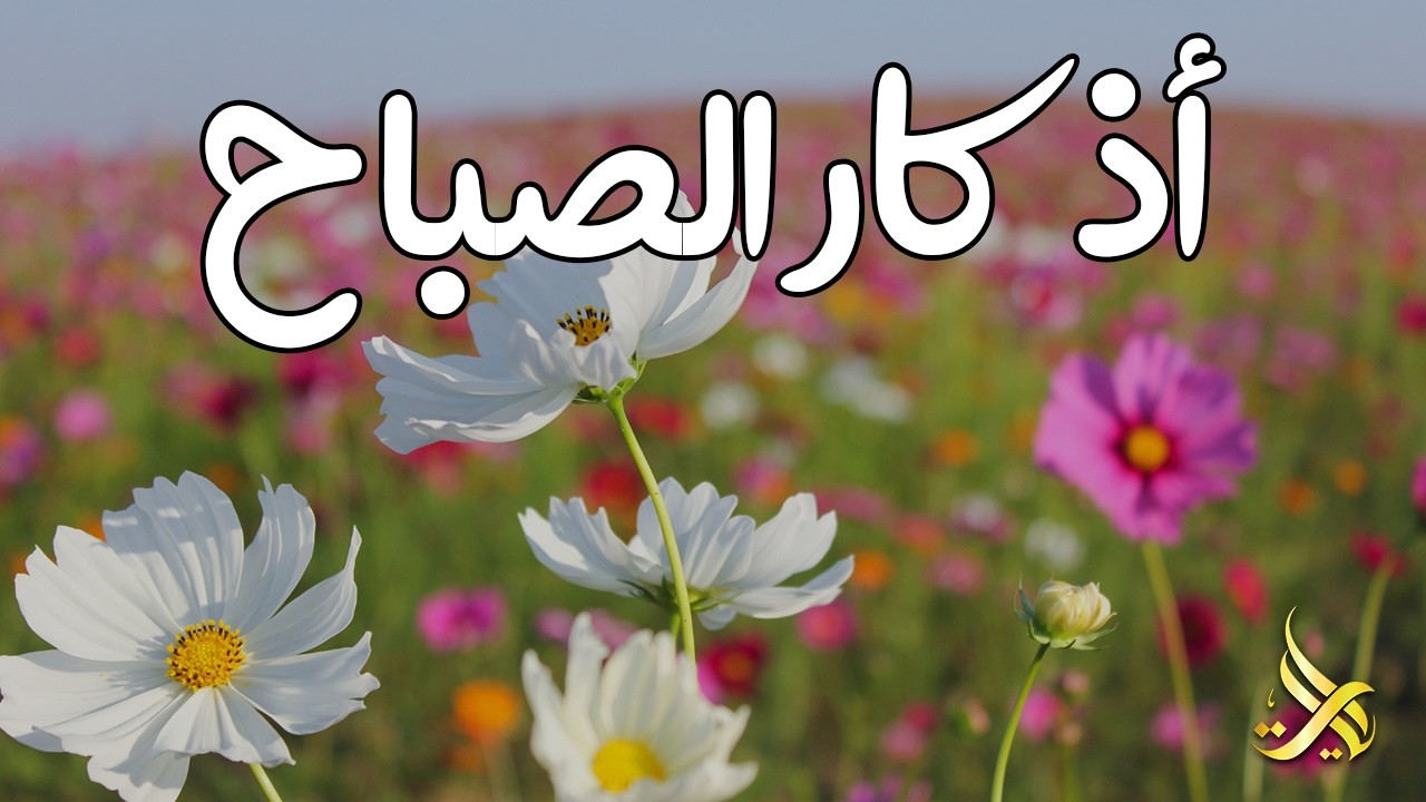 اذكار الصباح 💚 راحة نفسية لا توصف بصوت القارئ علاء عقل | Morning Athkar - Dzkir Pagi by Alaa Aql