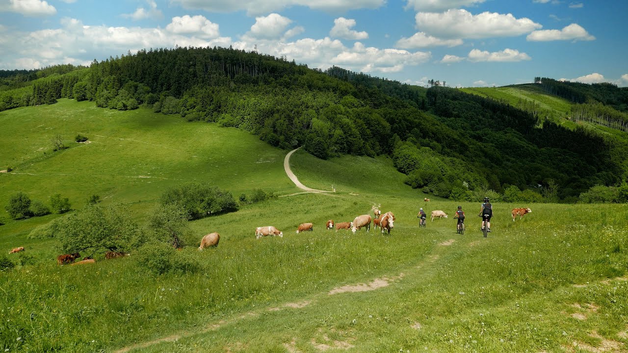 Cyklotrasy 073 -  Bílé Karpaty 3 (Přes Velký Lopeník na Velkou Javořinu)