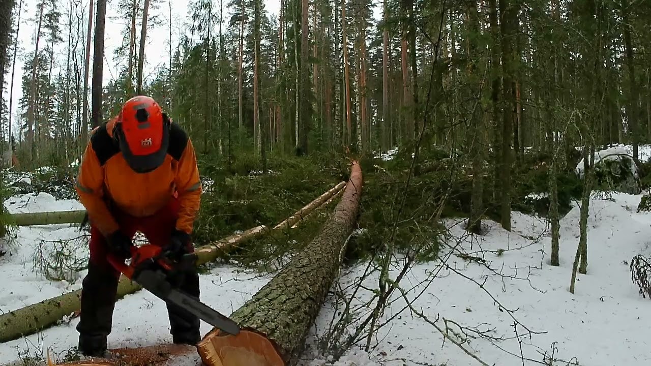 Lenko mänty tukeiksi.