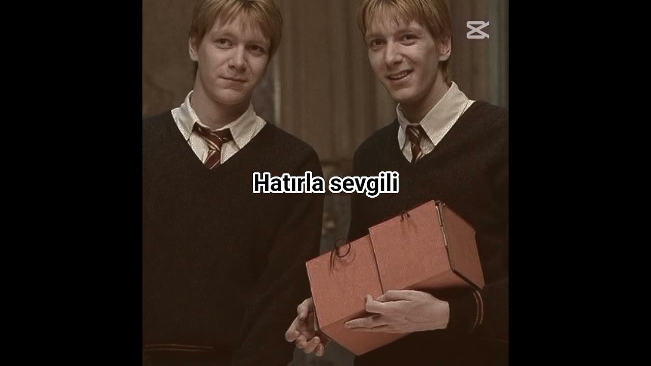 hatırla sevgili #harrypotter #potterhead #ytdayibenionecikarnolur #keşfetbeniöneçıkar #keşfet