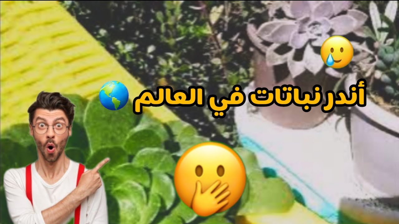 افضل واجمل واندر النباتات اهديهم لكم بمناسبة عيد الام .🎁🌲