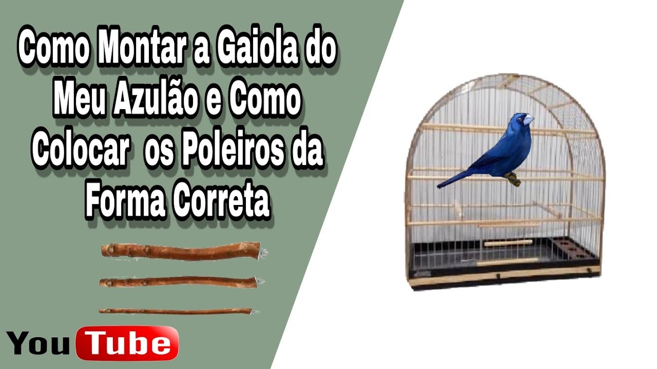 Como Montar a Gaiola do Meu Azulão e Como Colocar os Poleiros Da forma correta/Quem Não tem Voadeira