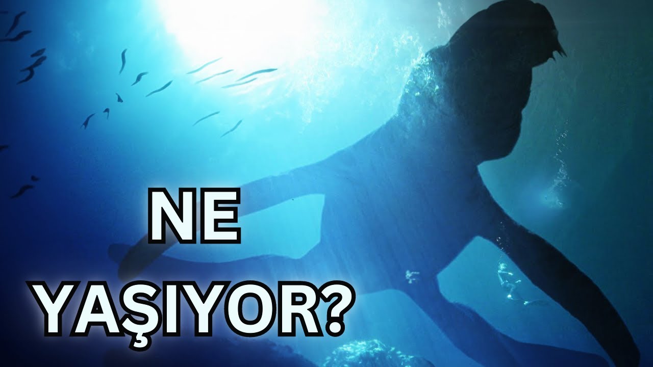 Mariana Çukurunun Dibinde Ne Yaşıyor?